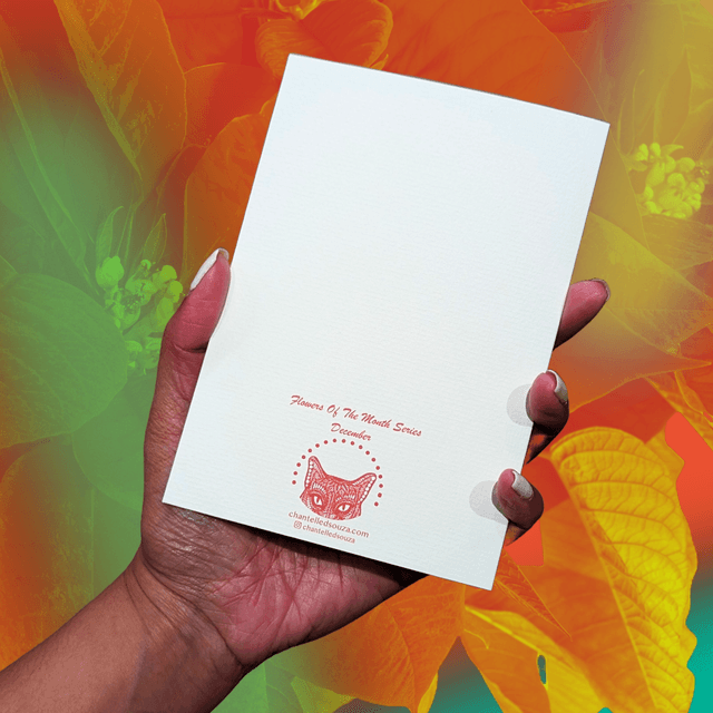 December / Poinsettia - Flower of the month series