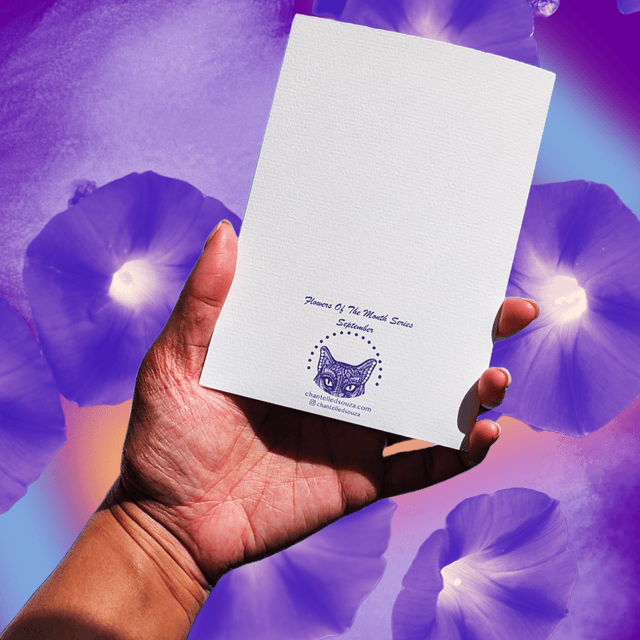 September / Morning Glory - Flower of the month series